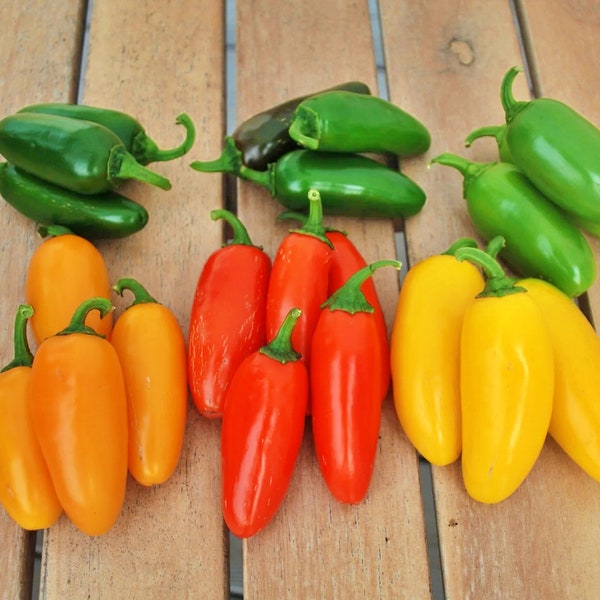 Jalapeno "NuMex Spice",  Hot Pepper Mix,   Heirloom Garden Seeds  Open Pollinated Non-GMO