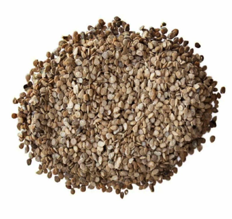 Principe Borghese Heirloom Tomato Seeds