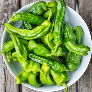 Italian Pepperoncini, Sweet Pepper, Heirloom Seeds Open Pollinated Non-GMO