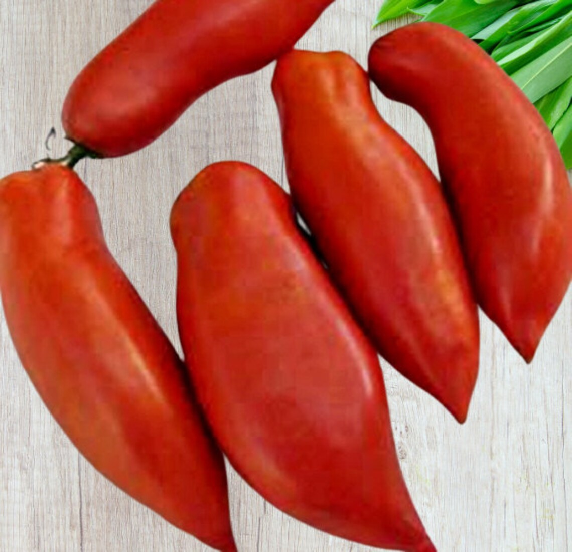 Jersey Devil Tomato 30 Heirloom Seeds Open Pollinated Etsy