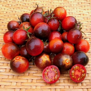 Dancing With Smurfs, Tomato, Heirloom Seeds, Indigo/Red Cherry. Non-GMO