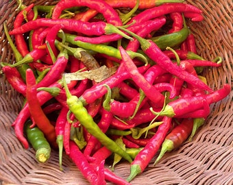 Cayenne Long Slim Chili,  Hot Pepper,   Heirloom Garden Seeds  Vegetable Seeds   Open Pollinated   Container Gardening   Non-GMO