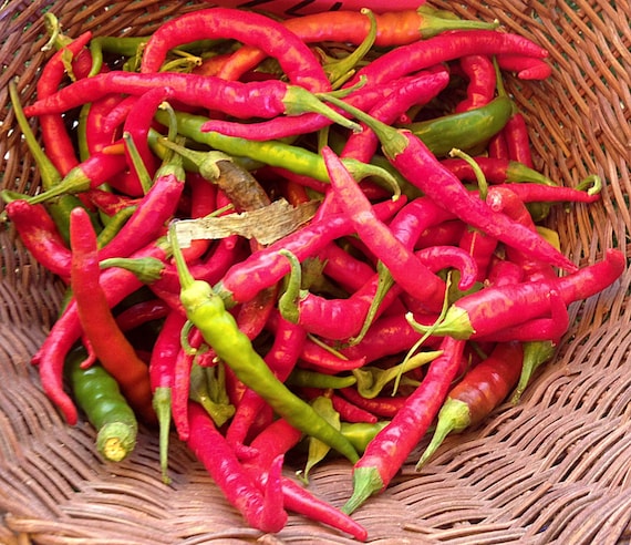 25 PEPERONCINI PEPPER 2019 all non-gmo heirloom vegetable seeds!