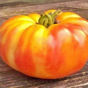 Virginia Sweets, Tomato,   Heirloom Garden Seeds  Rare Non-GMO  Grown To Organic Standards Open Pollinated Gardening   New 2023