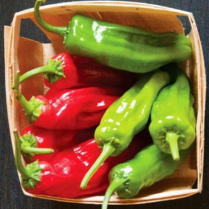 Shishito, Hot Pepper, Heirloom Seeds, Open Pollinated Non-GMO