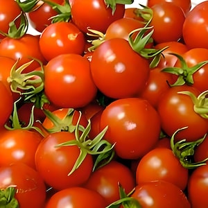 Red Cherry, Tomato, Heirloom Seeds, Super Sweet Early Open Pollinated Non-GMO