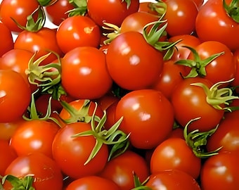 Red Cherry, Tomato, Heirloom Seeds, Super Sweet Early Open Pollinated Non-GMO
