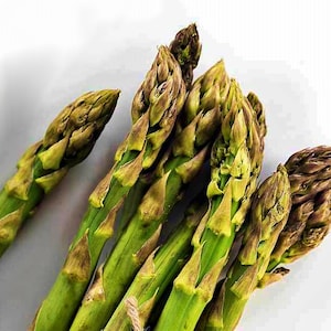 UC 72 Asparagus Seeds: Heirloom, Non-GMO (30+ Seeds)