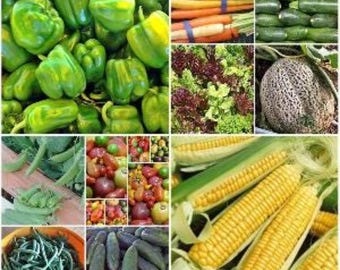 Vegetable Garden Seed Collection: Heirloom Non-GMO Mix - 10 Varieties