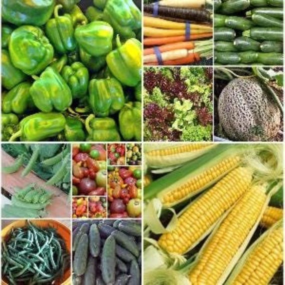 Vegetable Garden Seed Collection: Heirloom Non-GMO Mix - 10 Varieties