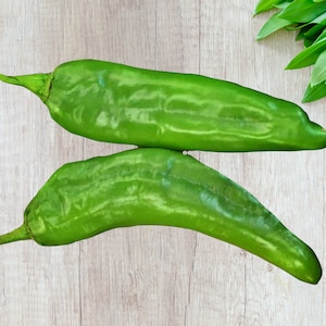 Hatch Mild Green NM-64,  Hot Pepper,   Heirloom Seeds,  Open Pollinated    Container Gardening   Vegetable Seeds   Non-GMO