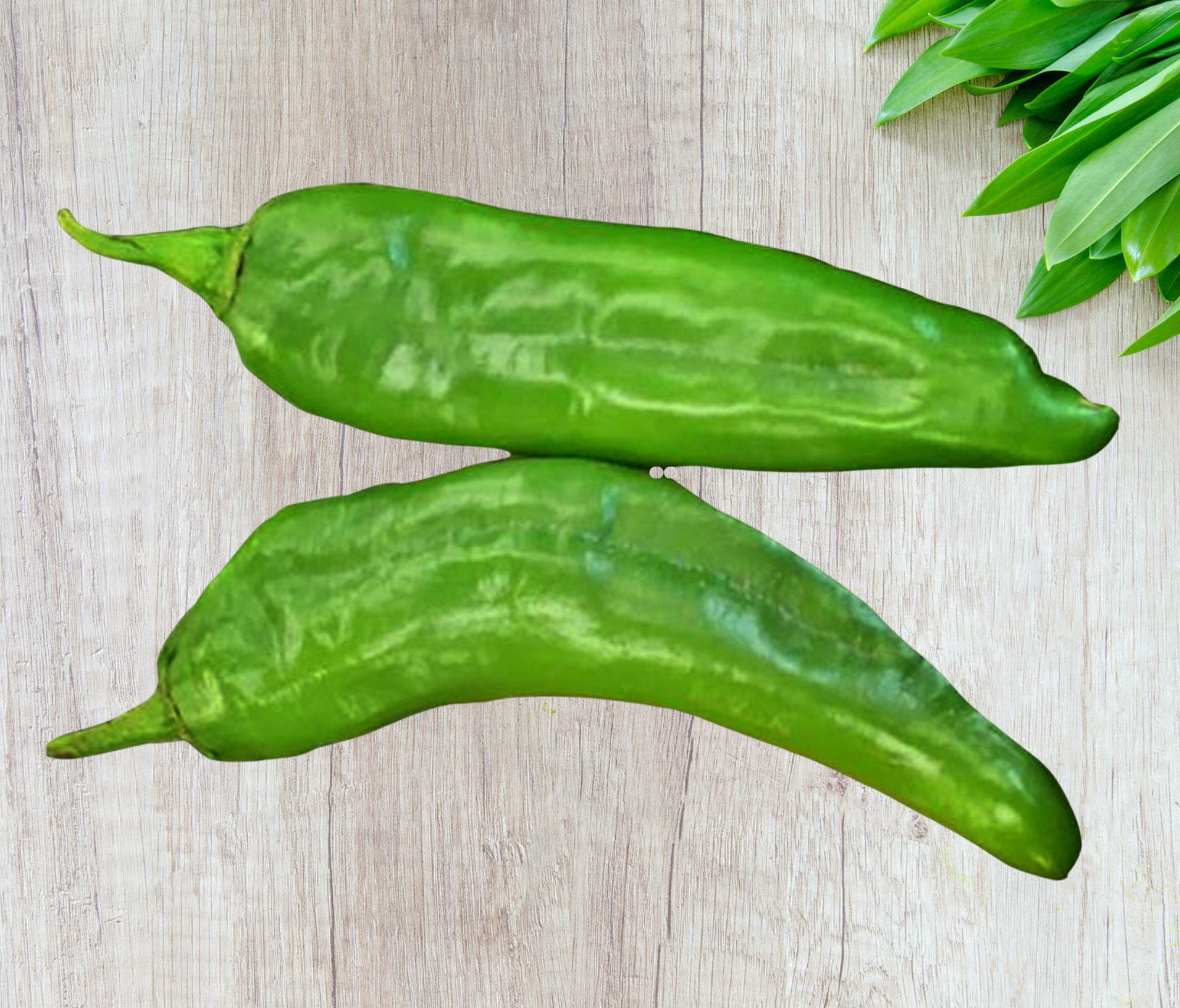 Hatch Mild Green Chile Pepper Seeds / Heirloom Open Pollinated Etsy