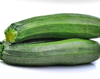 Black Beauty Zucchini: Heirloom Dark Green Summer Squash Seeds