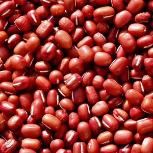 Adzuki Red,  Beans,  Heirloom Seeds, High in Vegetarian Protein Non-GMO