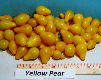 Yellow Pear, Tomato, Heirloom Seeds, Grown to Organic Standards Open Pollinated Gardening Non-GMO