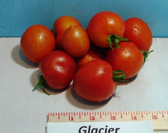 Glacier,   Tomato,   Heirloom Garden Seeds   Early Season Grown to Organic Standards   Open Pollinated  Gardening Non-GMO