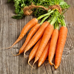 Kuroda Carrot Seeds: Heirloom Asian Variety (8 Inch, Deep Orange)