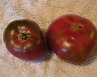 Paul Robeson,  Tomato,  Heirloom Garden Seeds   Grown to Organic Standards   Open Pollinated  Gardening Non-GMO