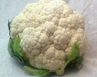 Cauliflower,  Snowball Y Improved  Heirloom Garden Seeds   Open Pollinated   Container Gardening   Vegetable Seeds Non-GMO