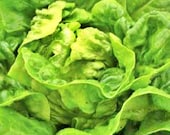 Produkt z tego sklepu