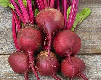 Babybeat,  Beets,   Heirloom Garden Seeds  Early Variety   Open Pollinated   Container Vegetable Gardening   Non-GMO,