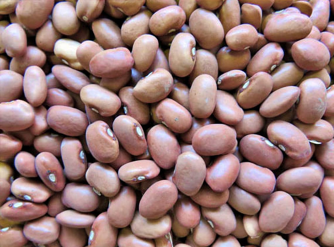 red swan beans red swan beans