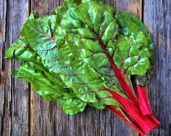Ruby Red Swiss Chard Seeds: Heirloom, Non-GMO Vegetable Garden