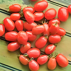 Cherry Roma, Tomato, Heirloom Seeds, Grown to Organic Standards Open Pollinated Non-GMO