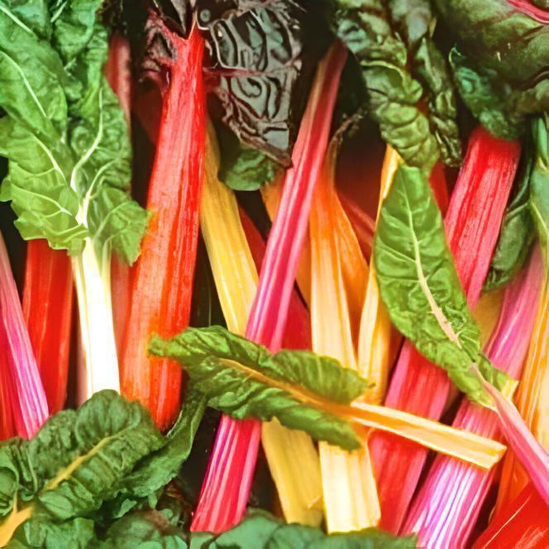 Color Chard Rainbow Swiss Chard Seeds: Heirloom Color Mix (non-gmo, Open Pollinated ...