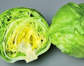 Iceberg Crisphead, Lettuce Seeds: Heirloom, Non-GMO, Open Pollinated