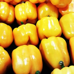 Sunbright, Sweet Bell Pepper, Heirloom Seeds, Open Pollinated Vegetable Garden Seeds Non-GMO