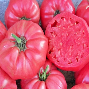 Pink Brandywine, Tomato, Heirloom Seeds, Open Pollinated Gardening Non-GMO