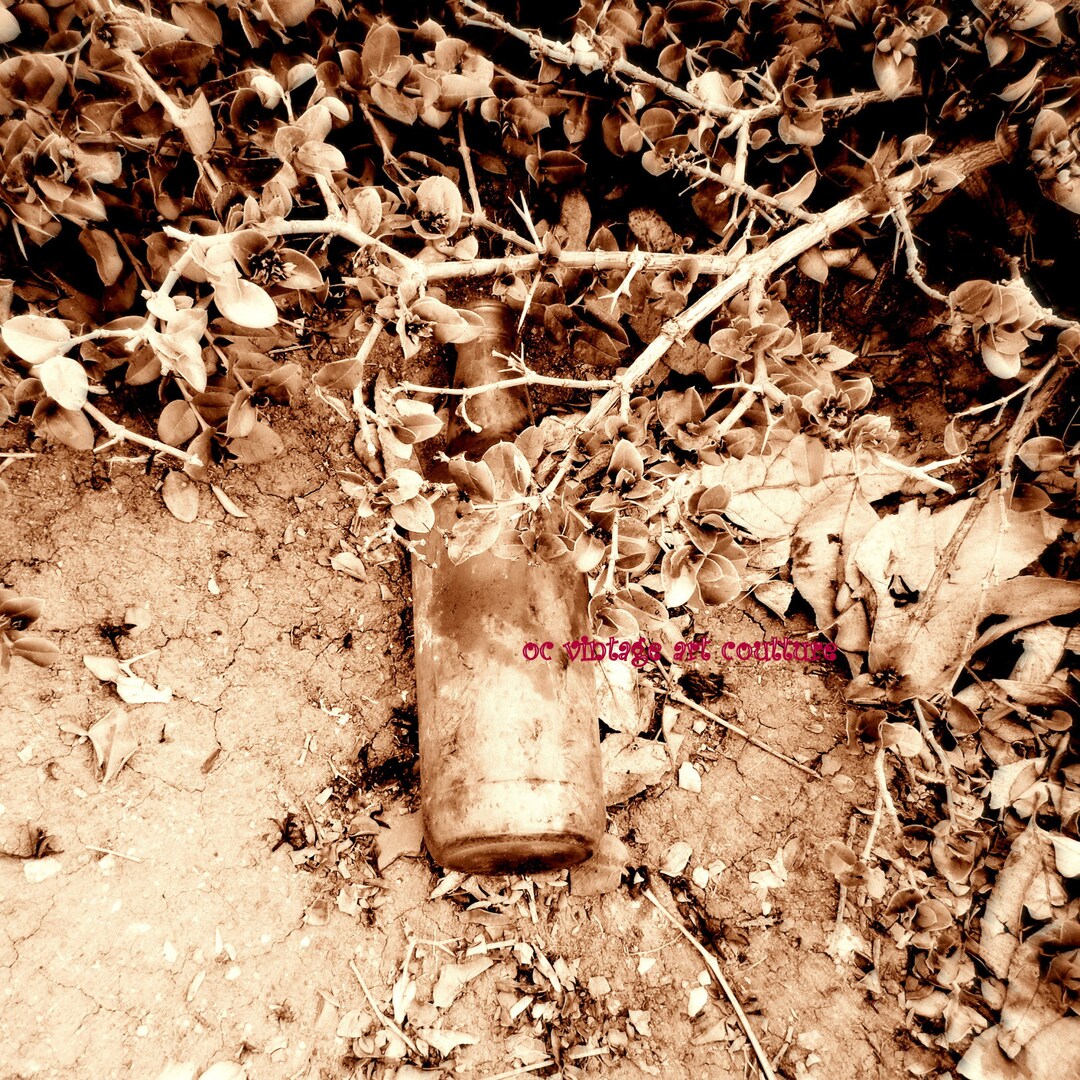 BOTTLE in Nature California Taken in Orange Digital Picture Photo ...