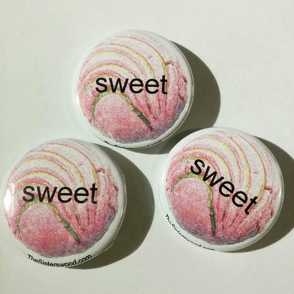 1 PIN CONCHA SWEET Pan Dulce Conchita Sweet Bread 1.5"