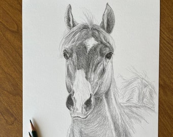 Original Arabian Horse Pencil Drawing, Equine Art (9x12)