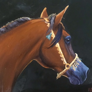 Original horse oil painting Nicolae Equine Art Arabian horse Nicole Smith Artist 8x10