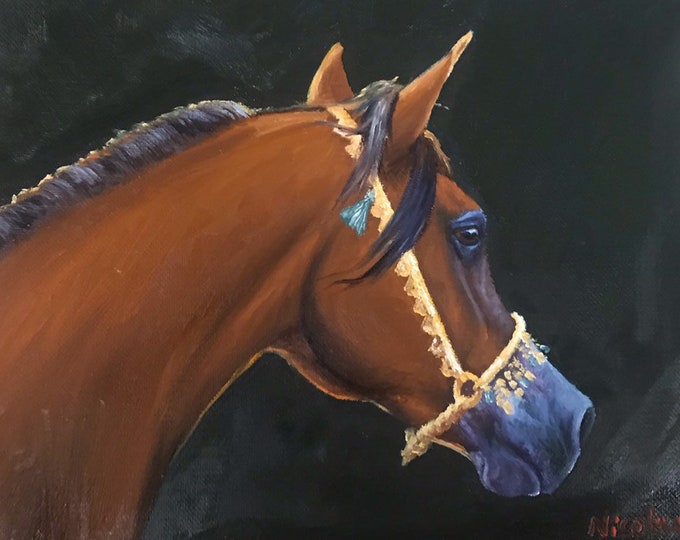Original horse oil painting Nicolae Equine Art Arabian horse Nicole Smith Artist 8x10