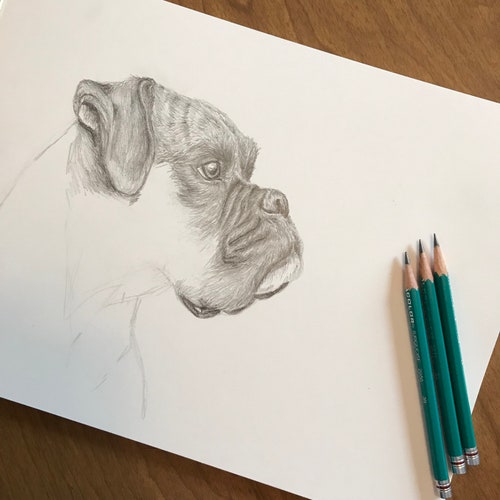 Shops Pet portrait drawing 19x24 50% inital deposit to reserve commission