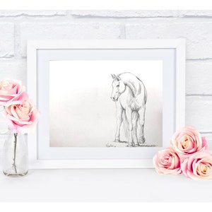 Orignial horse artwork graphite pencil sketch 9x12 by Nicolae Art