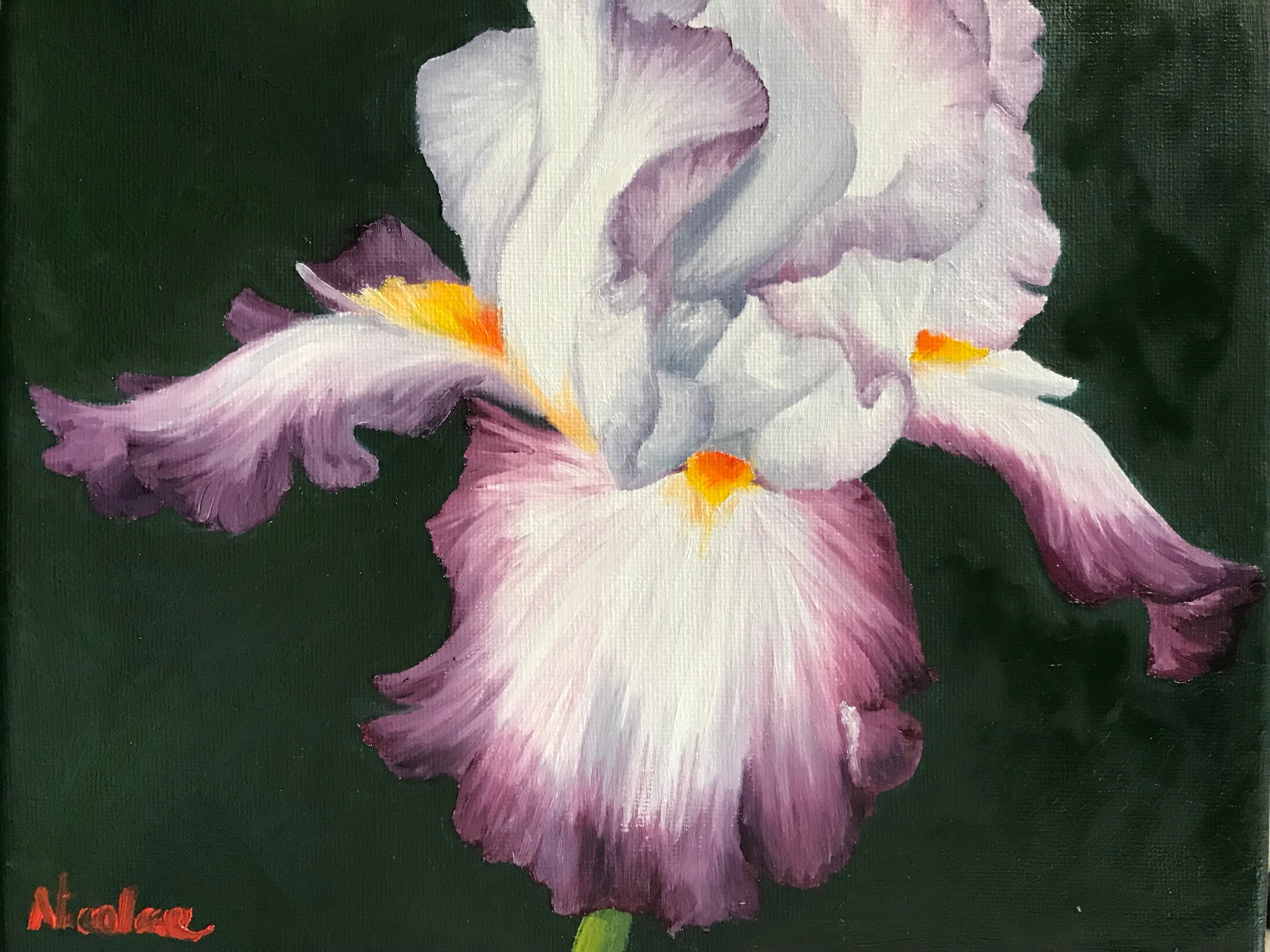 Original Floral oil painting purple white irises by Nicole Smith small