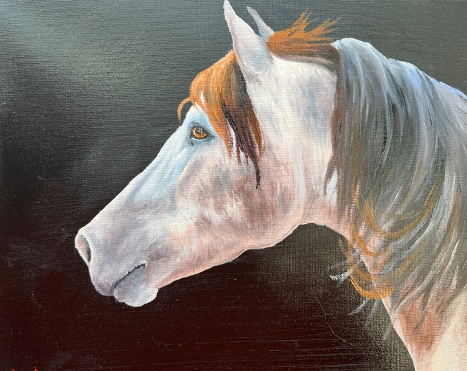 Original horse oil painting Nicolae Equine Art Andalusian horse Nicole Smith Artist 8x10