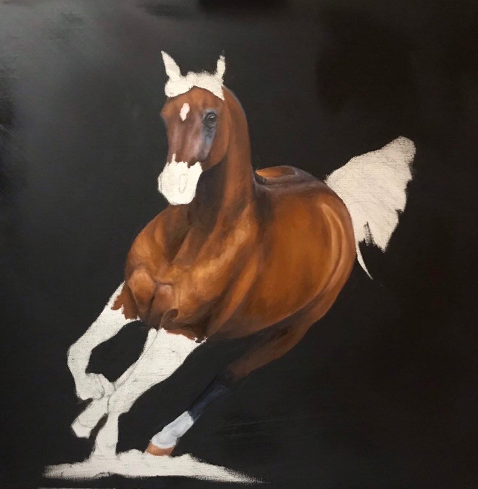 Original Arabian Horse oil painting by Nicolae Art 20x20 wall Etsy