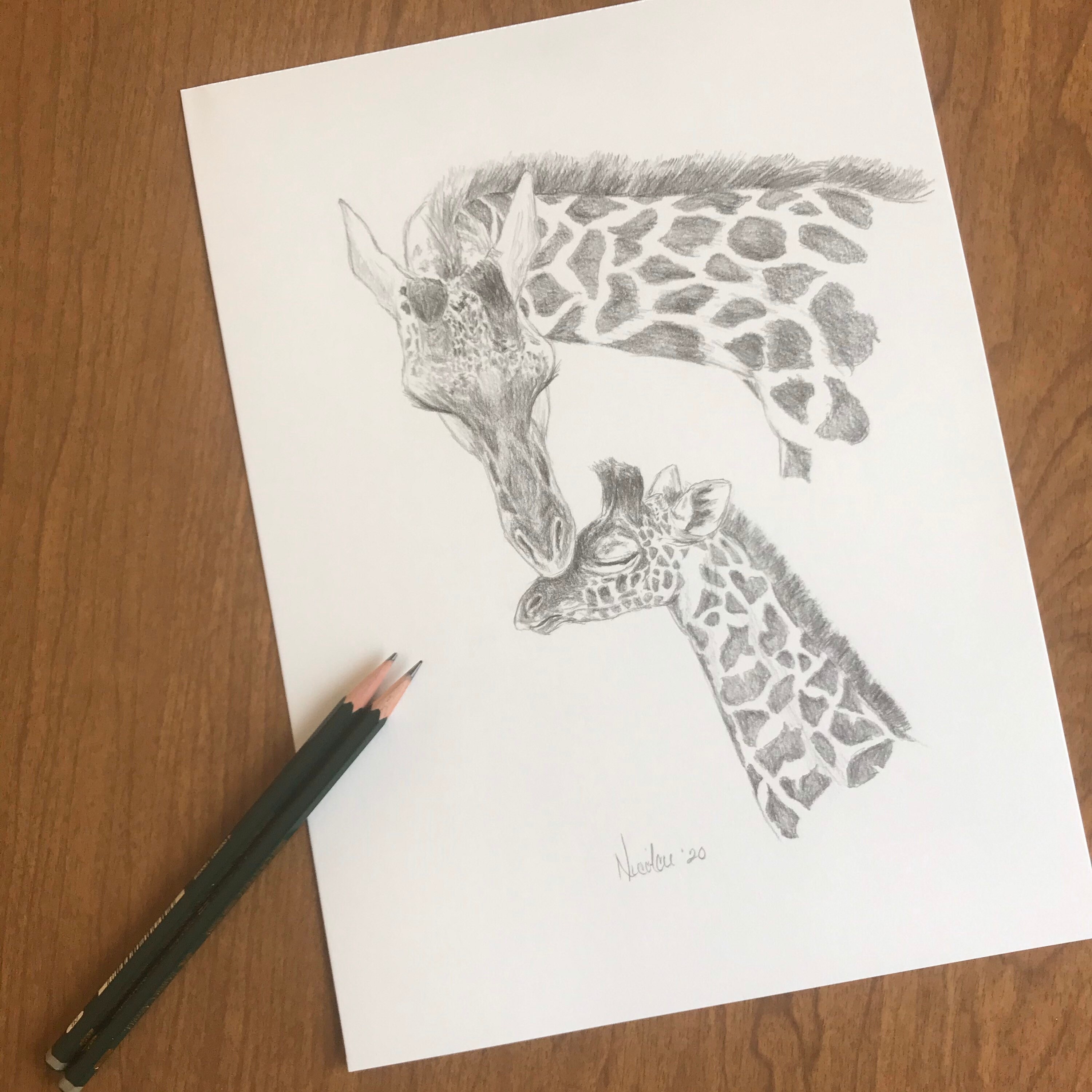 Original animal pencil drawing Nicolae Art artist Nicole Smith giraffe ...