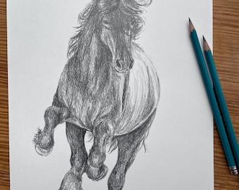 Friesian Stallion Pencil Drawing: Original Horse Sketch, Graphite Artwork (9x12)