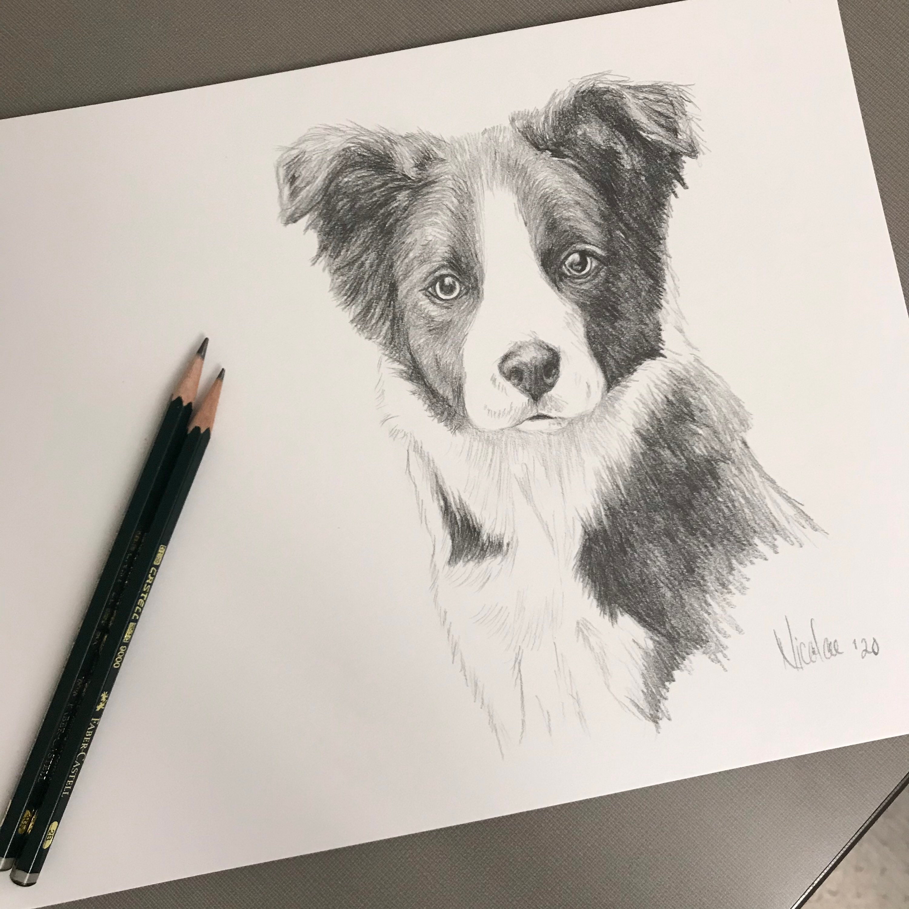 Original dog pencil drawing Nicolae Art animal artist Nicole Smith