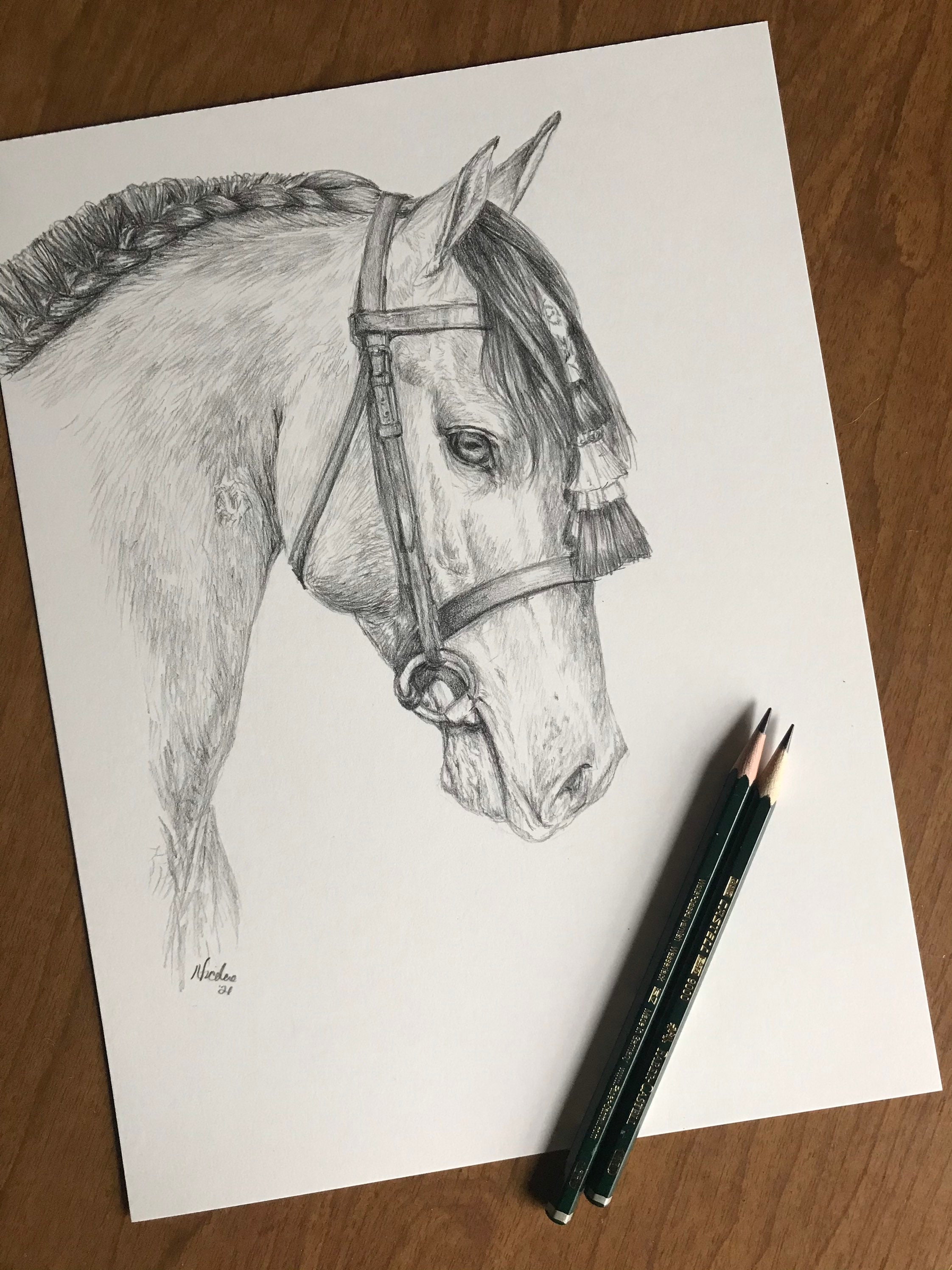 Orignial horse pencil drawing by equine artist Nicole Smith Dressage