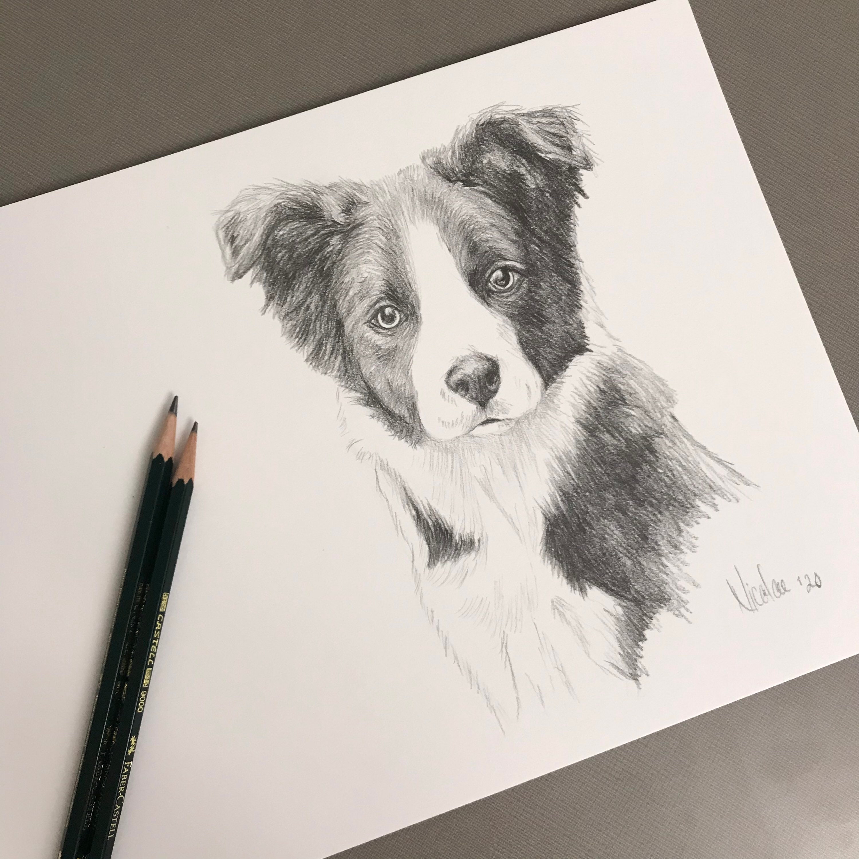 Original dog pencil drawing Nicolae Art animal artist Nicole Smith 