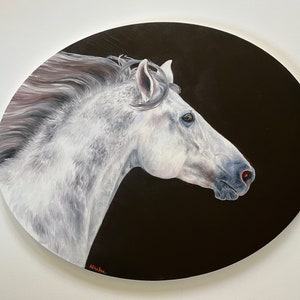 original oval Andalusian Horse oil painting by Nicolae Art 16x20 wall art horse gift
