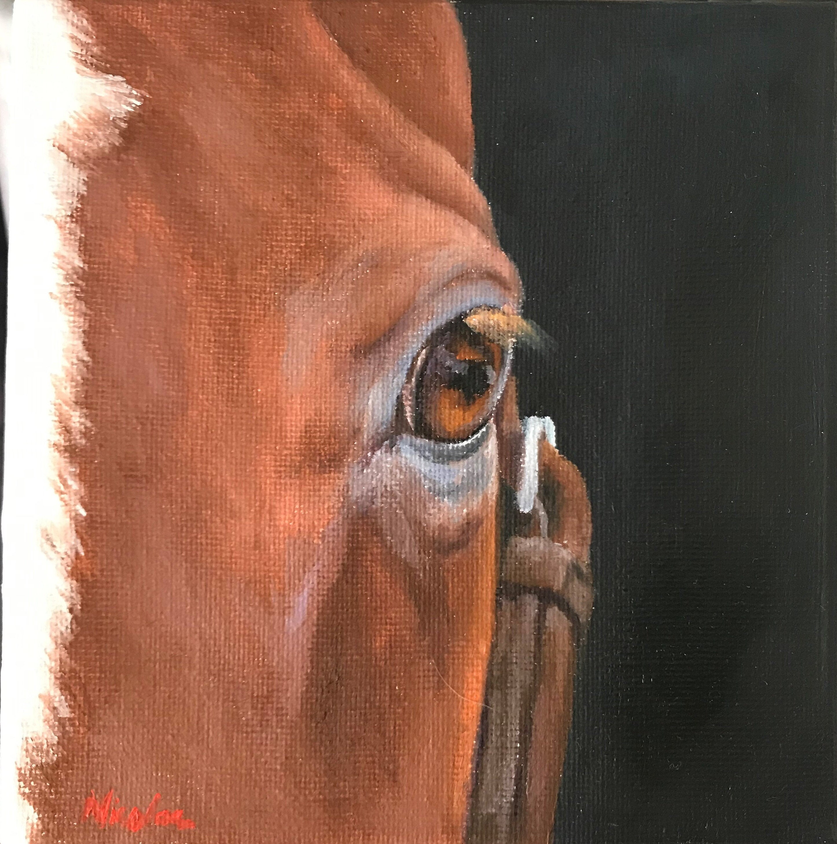 Original Horse eye oil painting on canvas by Nicolae Art Honest Soul 6x6