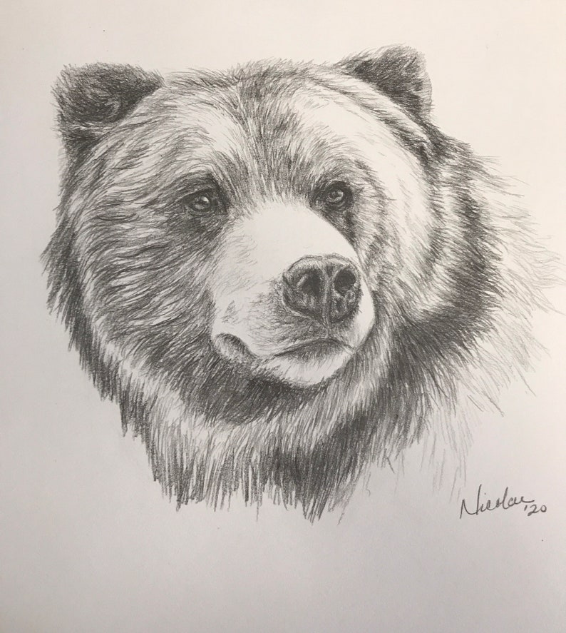 Dibujo a lápiz de oso original Nicolae Artista de arte Nicole | Etsy